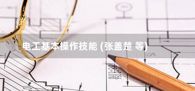 电工基本操作技能 (张盖楚 等)